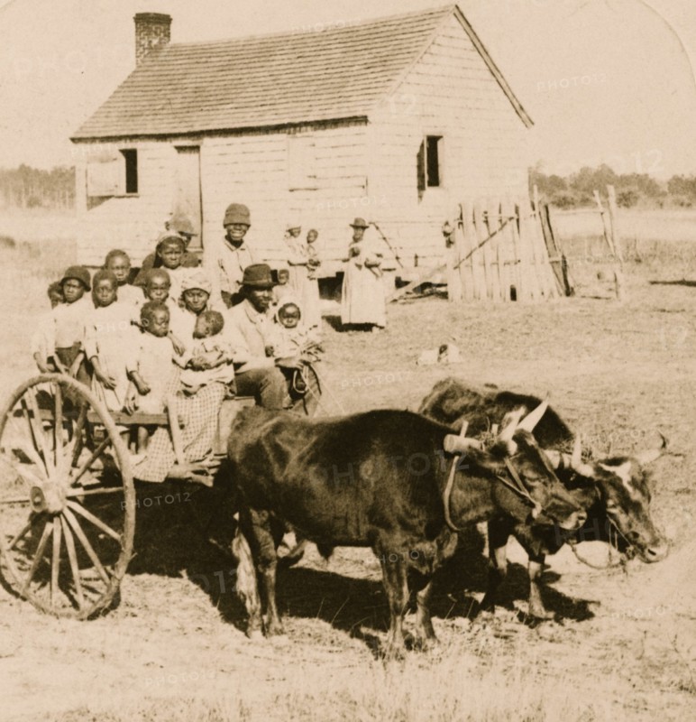 Bound for the land of promise 1895