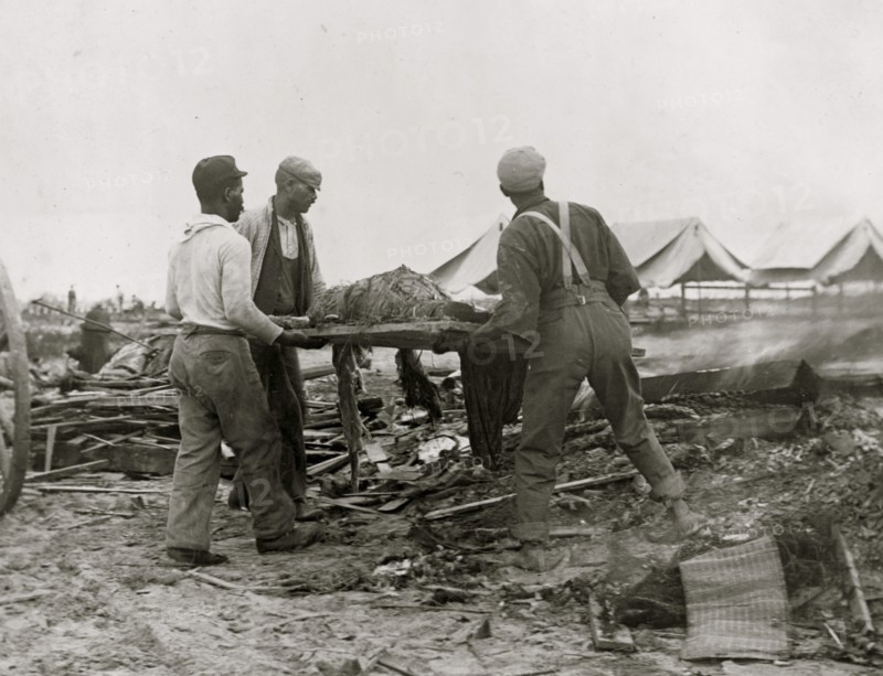 Galveston disaster, carrying dead body to fire to be burned 1900
