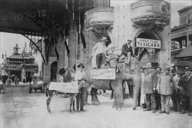Elephant and Donkey in Luna Park