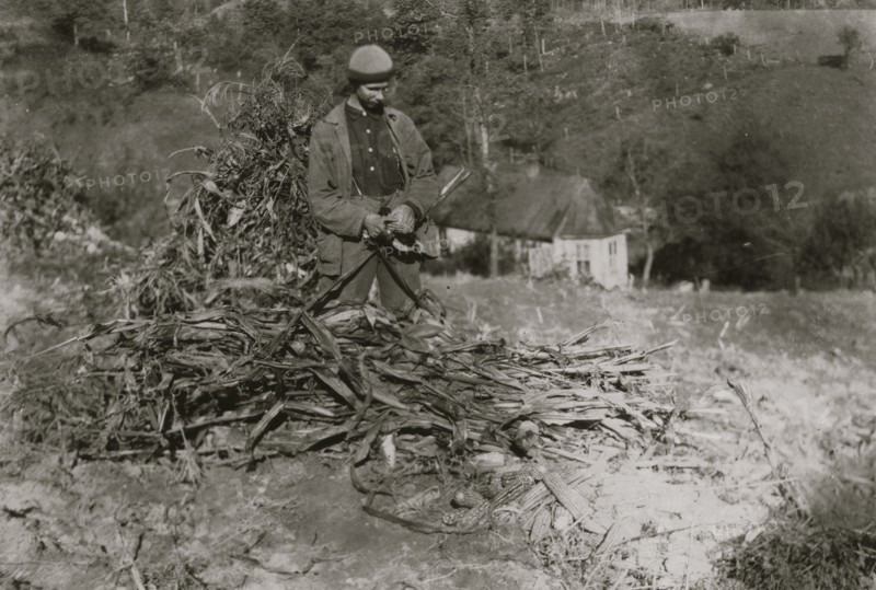 A Product of the 4 H Club, raised 135 bushels of corn on one acre (his father raised about one half as much and complained that the boy's land was better 1921