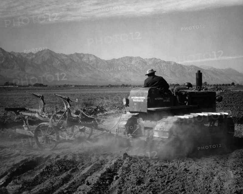 Benji Iguchi driving tractor in field 1943