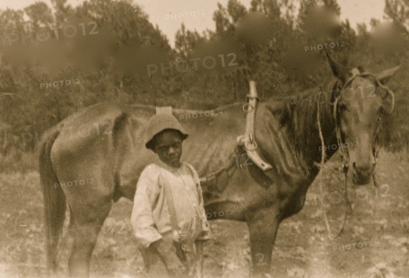African American boy standing with horse attached to plow 1899