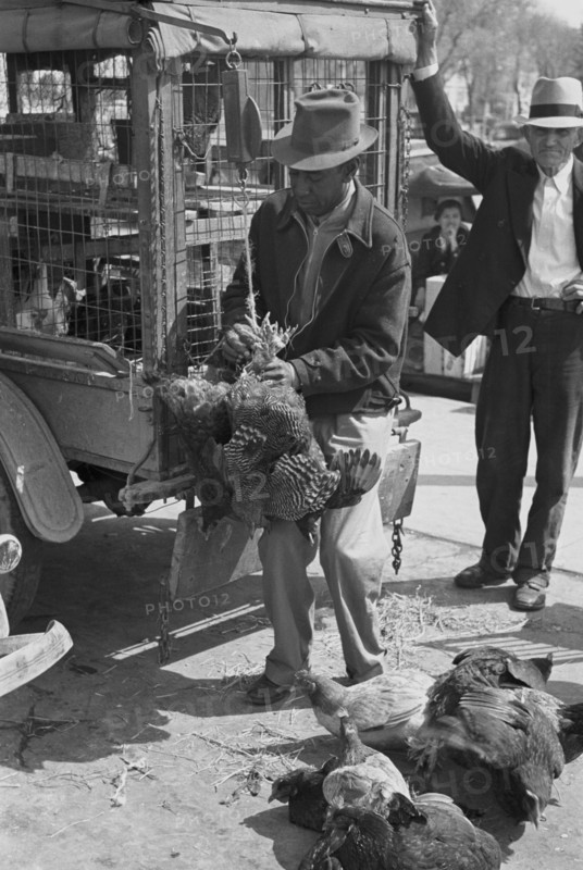 African American Weighing chickens in produce market, San Antonio, Texas 1938