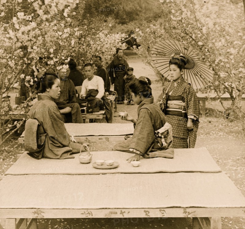 Spring Tea 1904