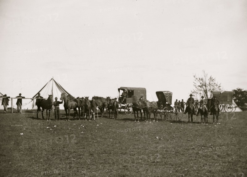 Army of the Potomac. Wagons and horses attached to repair Department in charge of Captain Pierce 1863