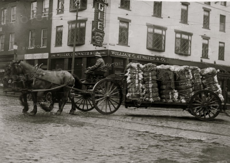Bales of cotton going to the mill. 1916