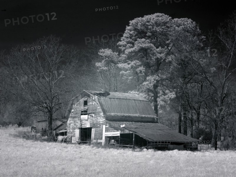 Barn, Dothan, Alabama 2010