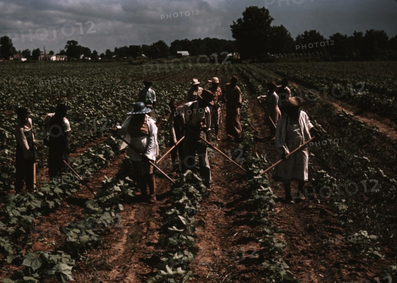 Bayou Bourbeau plantation operated by Bayou Bourbeau Farmstead Association, a cooperative established through the cooperation of FSA, Natchitoches, La. 1940