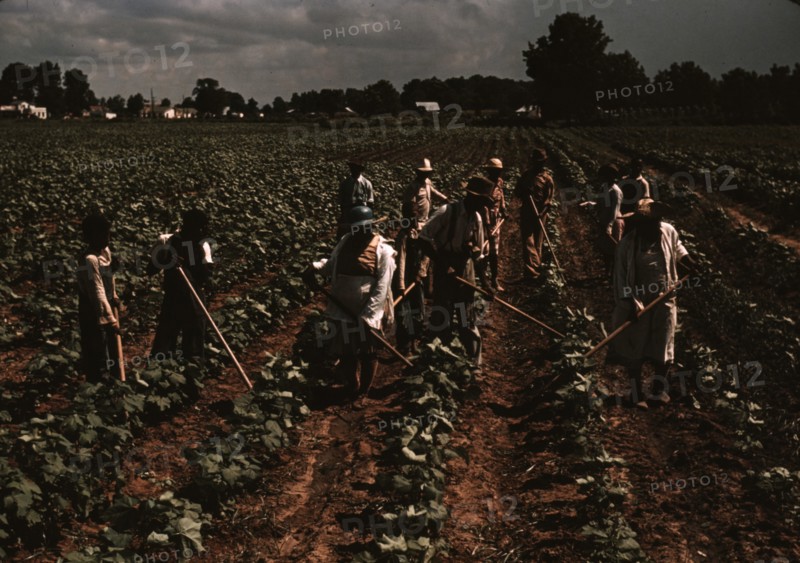 Bayou Bourbeau plantation operated by Bayou Bourbeau Farmstead Association, a cooperative established through the cooperation of FSA, Natchitoches, La. 1940