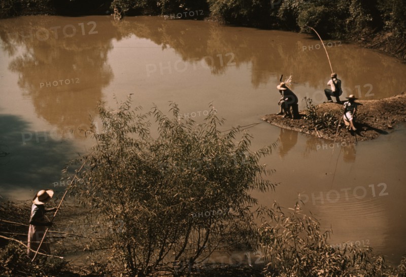 Blackes fishing in creek near cotton plantations outside Belzoni, Miss. 1939