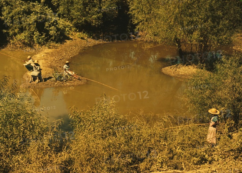 Blackes fishing in creek near cotton plantations outside Belzoni, Miss. 1939