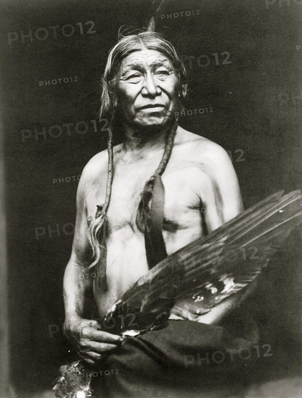 Bobtailhorse 1913