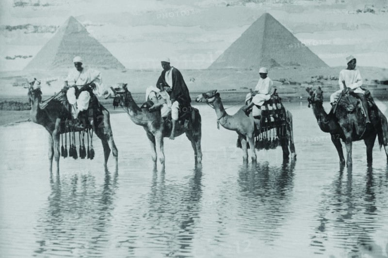 Camels with Native Riders on board stand in reflective floodwaters with a backdrop of the Pyramids of Giza In Egypt