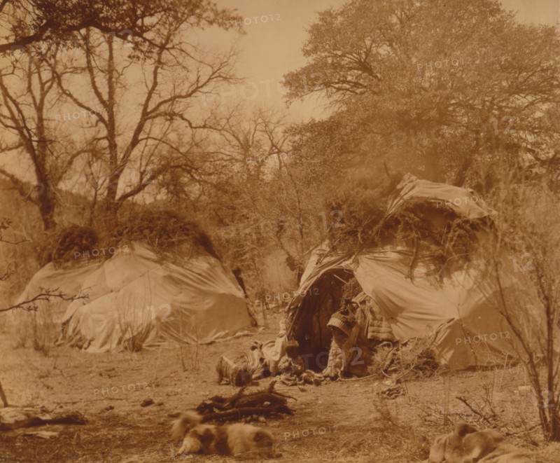 A camp among the oaks 1903