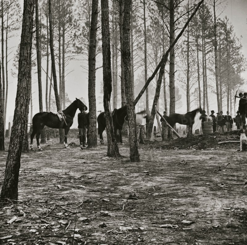 Cavalry detail at Gen. Adelbert Ames headquarters 1863