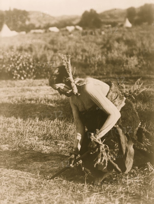 Offering the pipe to the Earth--Cheyenne 1910
