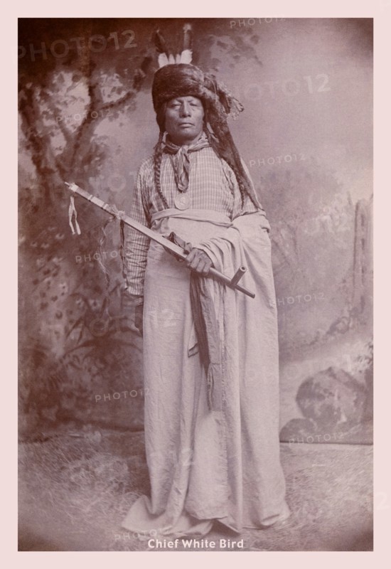 Chief White Bird