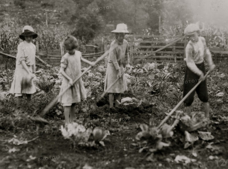 Children hoeing on farm near Mt. Vernon, Ky.  1916