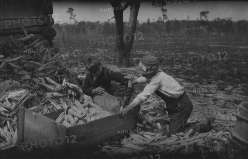 Children thrashing corn during school hours on a farm near Dublin. Many such light occupations fall to the lot of the Georgia child. 1915