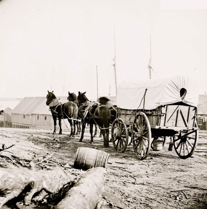 City Point, Virginia (vicinity). Four-mule army team and wagon 1865