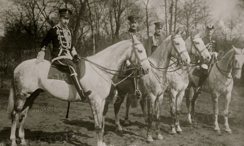 Crown Prince Germany