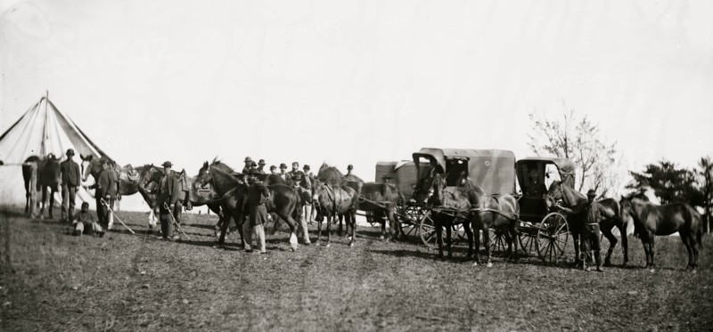 Culpeper, Virginia. Capt. Pierce's private horses, wagons, etc. 1863