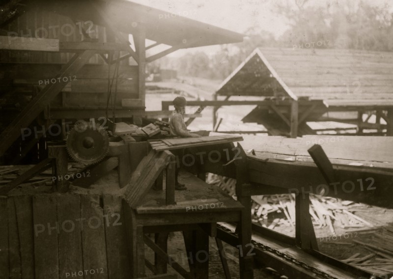 Working in a lumber mill and doing dangerous work 1914