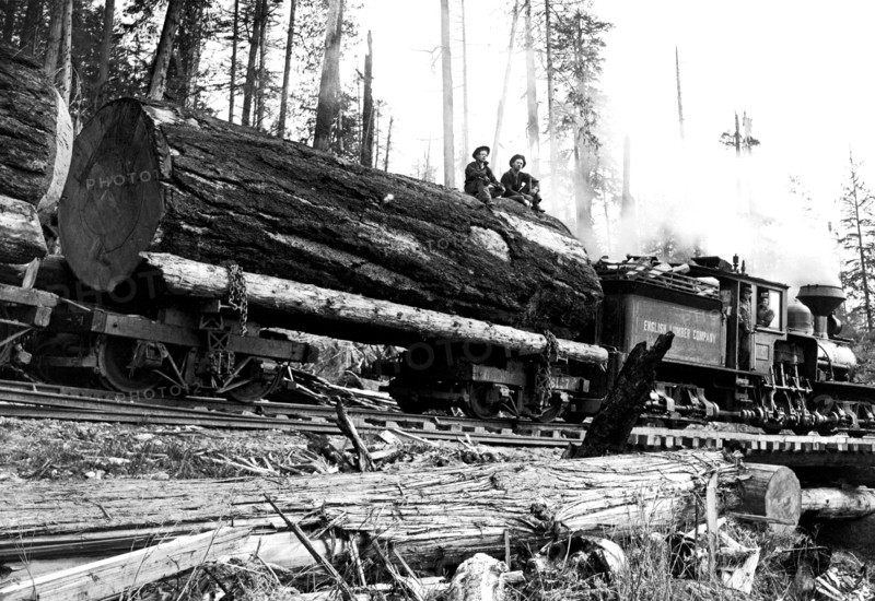Transporting Fallen Old Growth 1920