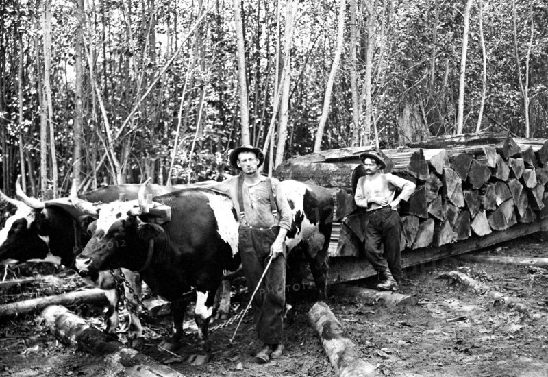 Hard Way 1920