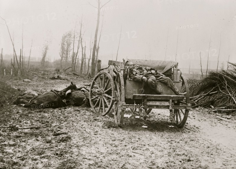 Dead German Artilleryman