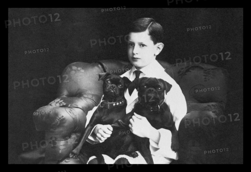 Frank and His Two Black Pugs
