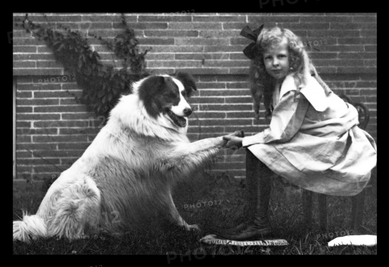 Girl Shaking Hands with Dog 1900