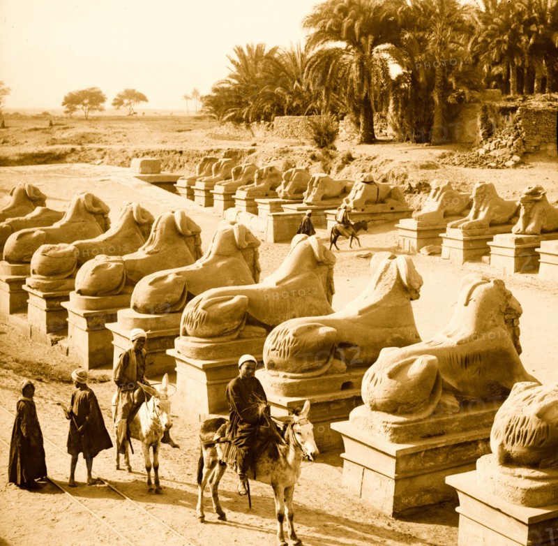 Egyptian views. General view of Temple of Hathor. Karnak. Near view of sphinxes in front of 1st pylon 1910