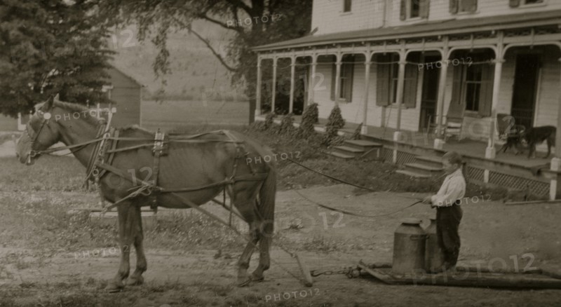 Eight-year old Jack carrying cans of milk on stone boat. This involves some heavy lifting 1915
