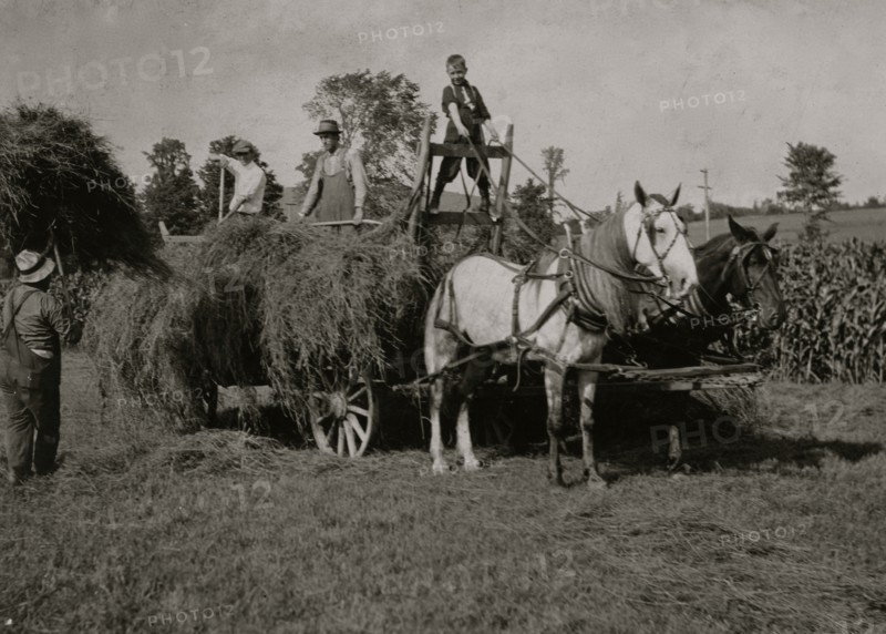 Eight-year old Jack driving load of hay 1915