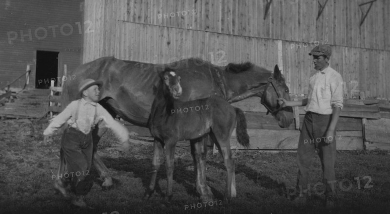 Eight-year old Jack taking care of the colt 1915