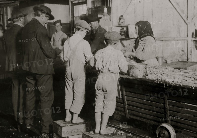 Eight-year-old Max, one of the young shrimp pickers in the Dunbar, Lopez, Dukate Company. Only a small force was working that day 1911