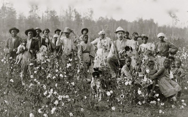 The cotton planter and his pickers 1908