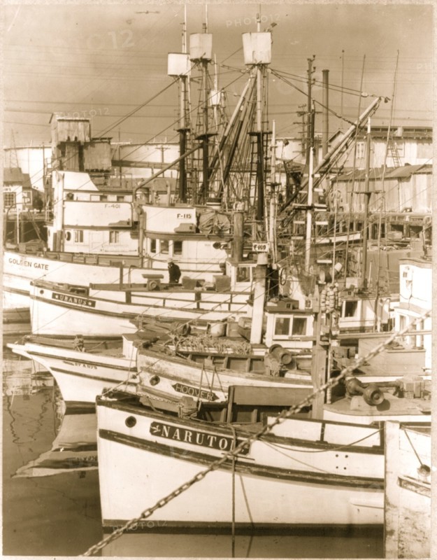 Fleet of  Japanese owned fishing boats tied up at Terminal Island 1942