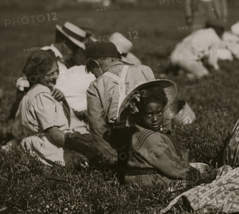 Even the little tiny one about 5 years old was picking. Some others picking regularly.  1911