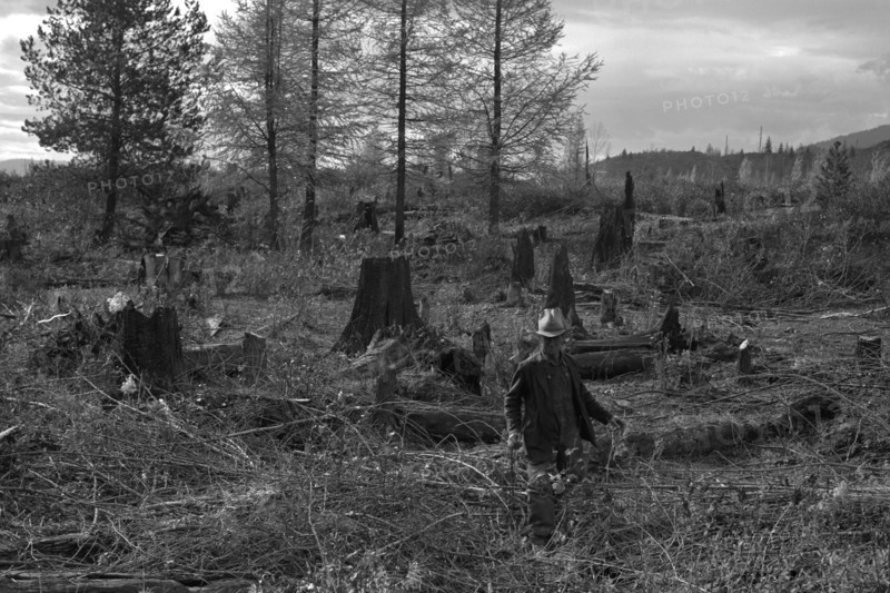 Clearing the Forest 1939