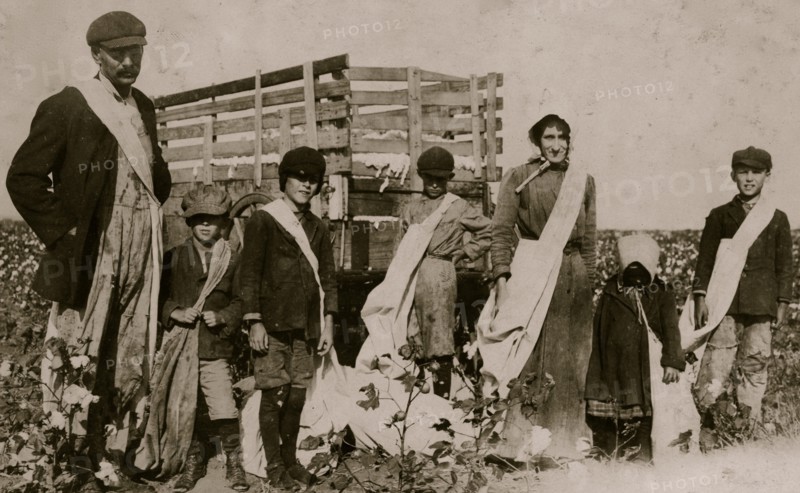 A Family of Cotton Pickers 1916