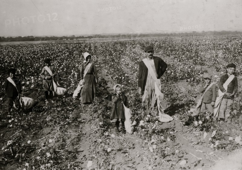 A Family of Cotton Pickers 1916