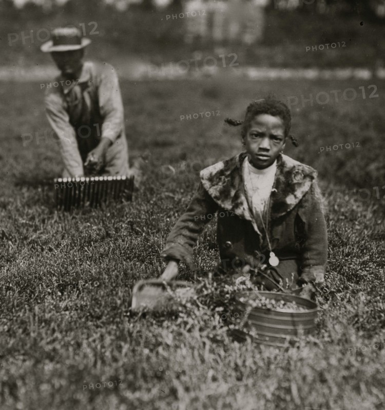 Fanny Breto. Said 9 years old. Was picking with her father on a private bog near Bang's bog. 1911