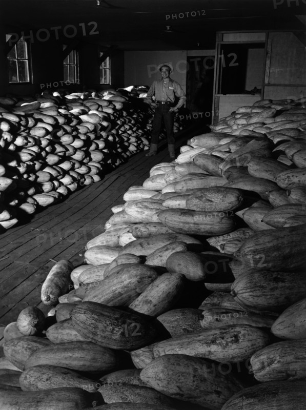 Benji Iguchi with squash 1943