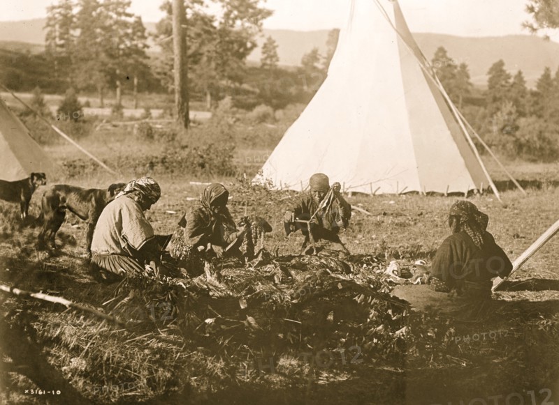 Jerking meat--Flathead 1910