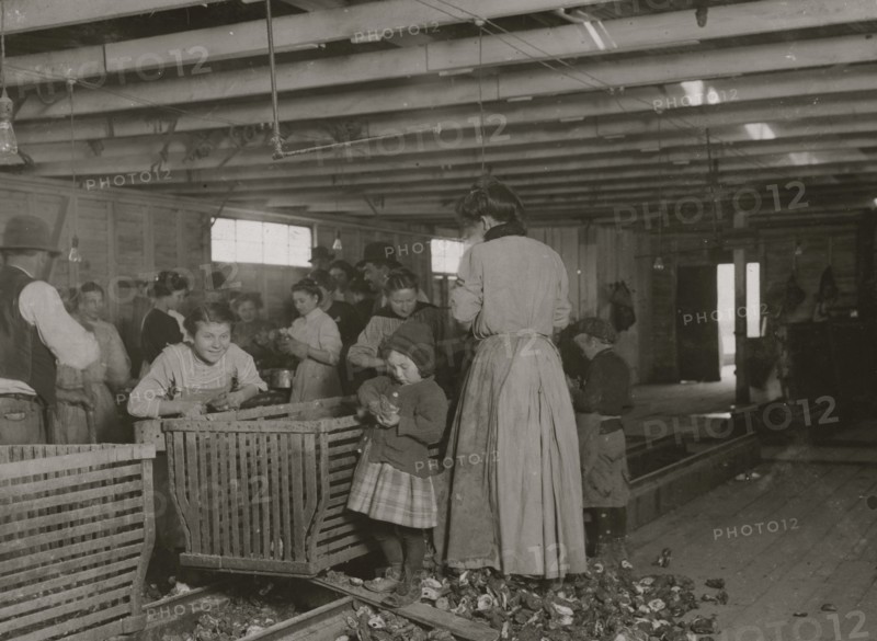 Four-year-old Mary, who shucks two pots of oysters a day at Dunbar.  1911