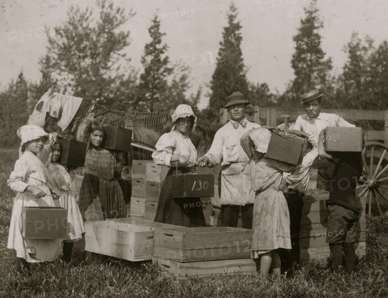 Group of children carrying in their pecks to the "bushel man."  1910
