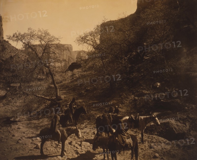 In the Canyon's depth 1904