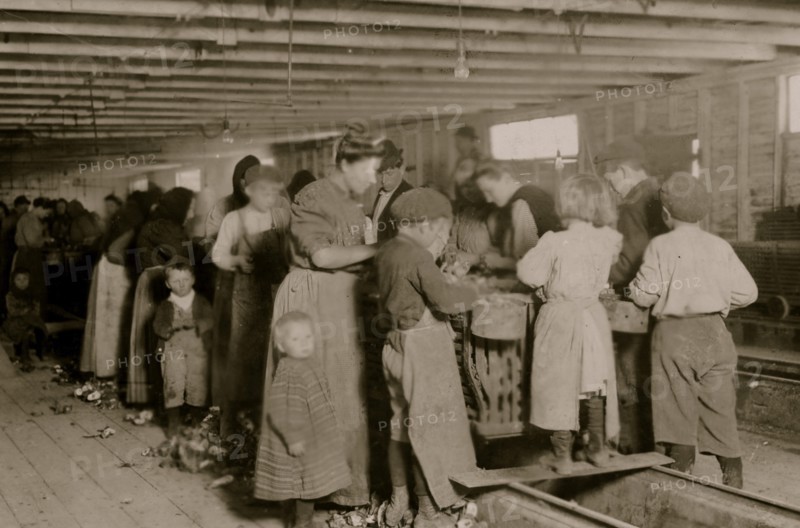 Group of oyster shuckers working in canning factory of Dunbar, Lopez, Dukate Co. All but the very smallest babies work. 1911